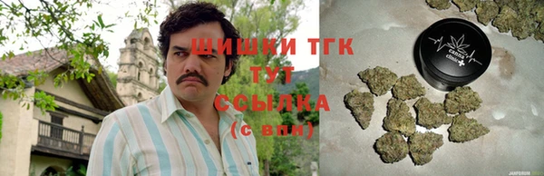 прущие крисы Бородино