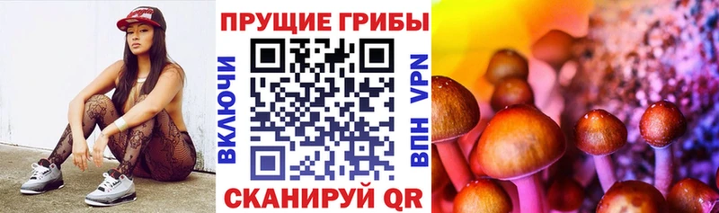 Галлюциногенные грибы ЛСД  Купить закладки  Муравленко 